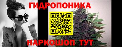 спайс Гай