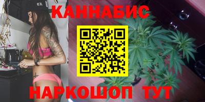 спайс Гай